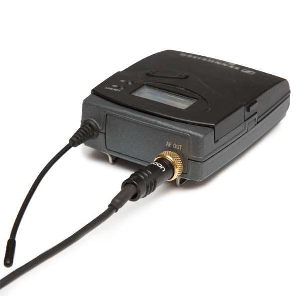 Tentacle and Bodypack Receiver to Camera Y-Cable Sennheiser