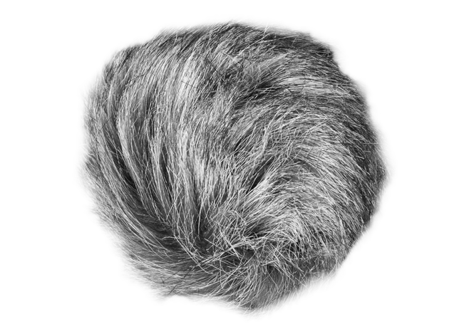 Zoom WSU-1 Universal Windscreen