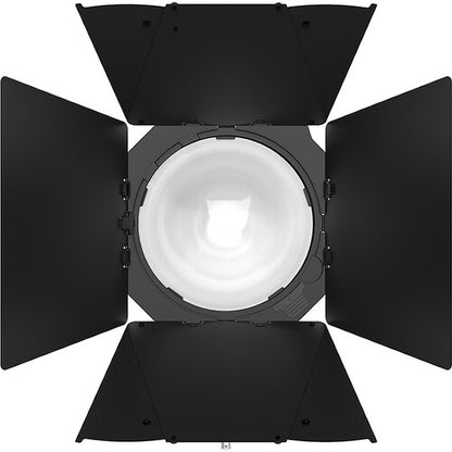 Aputure STORM 1000c Cine Kit Barndoor