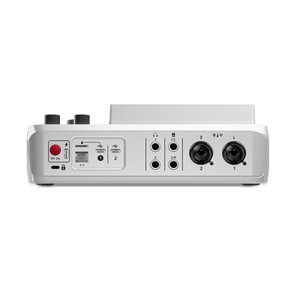 RodeCaster Duo White Inputs
