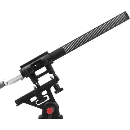 Sanken CS-2