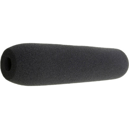Sanken CS-2