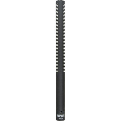 Sanken CS-2