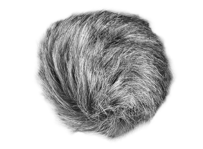 Zoom WSU-1 Universal Windscreen