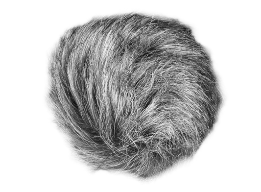 Zoom WSU-1 Universal Windscreen