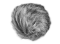 Zoom WSU-1 Universal Windscreen