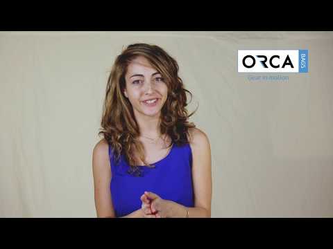 Orca OR-29 Audio Capsule Pouch Video